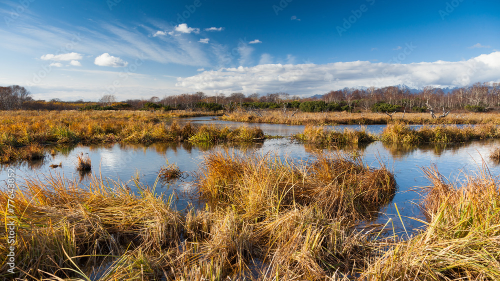 Dry grass in the autumn meadow against the river. Dry grass in the autumn meadow against the river.