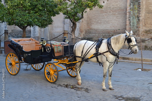 Horse carriage in Seville, Spain