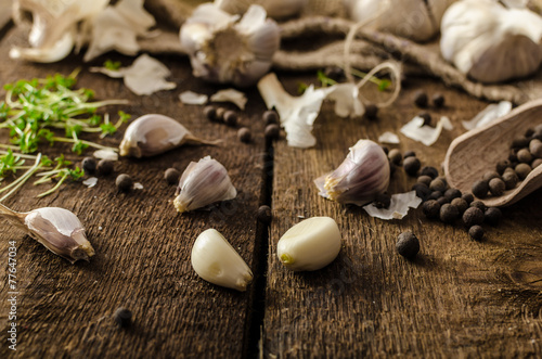 Bio garlicspices and fresh microgreens bio garlic