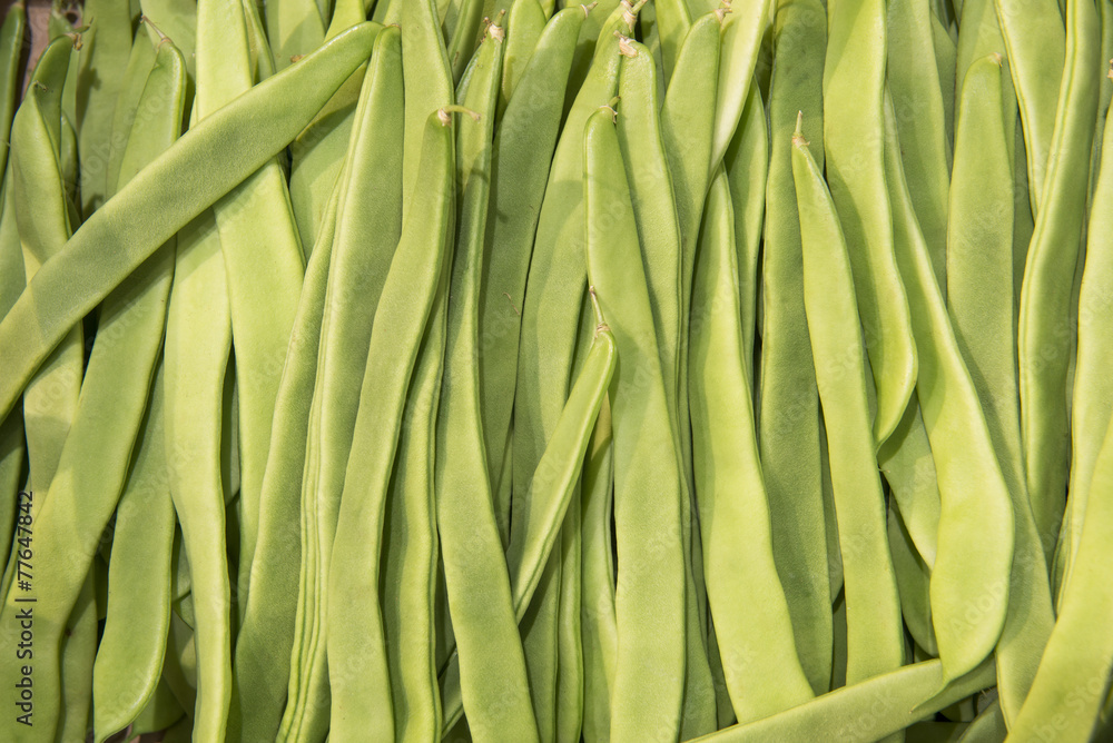 stalks beans close-up stalks beans close-up