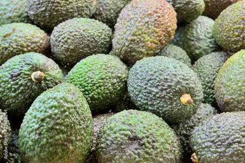 avocado close-up