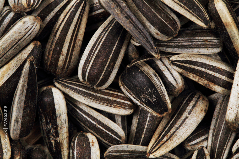 sunflower seeds as nice background sunflower seeds as nice background