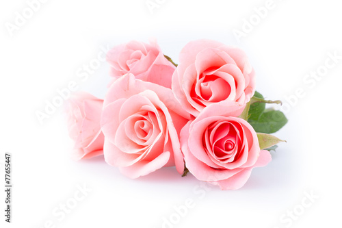 Fototapeta Naklejka Na Ścianę i Meble -  pink rose flower on white background