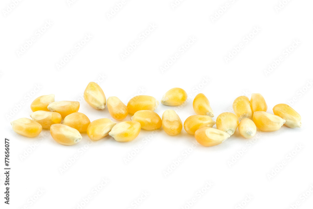 Close up yellow grain corn Close up yellow grain corn