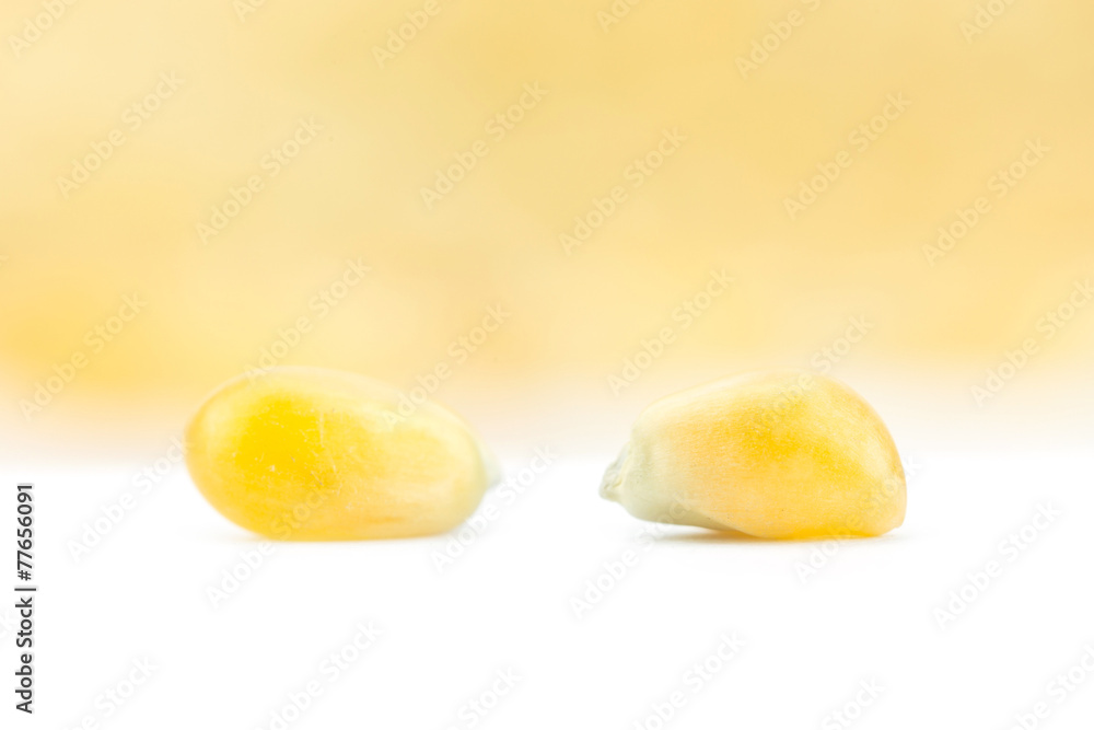 Close up yellow grain corn