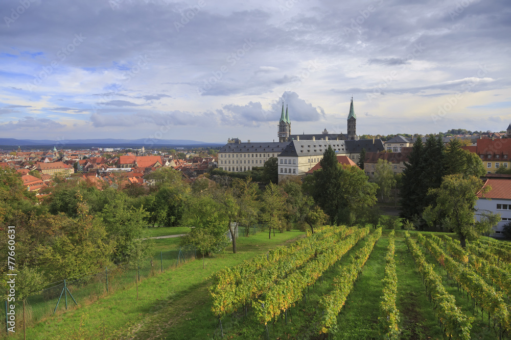 Vineyard and cathedral in Bamberg, Germany