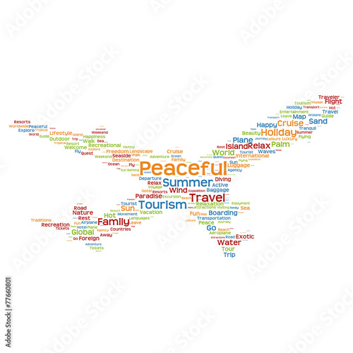 Vector conceptual travel or tourism plane word cloud