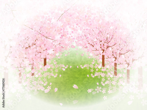 桜　花　背景