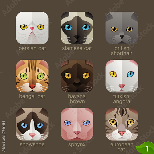 Animal faces for app icons-cats set