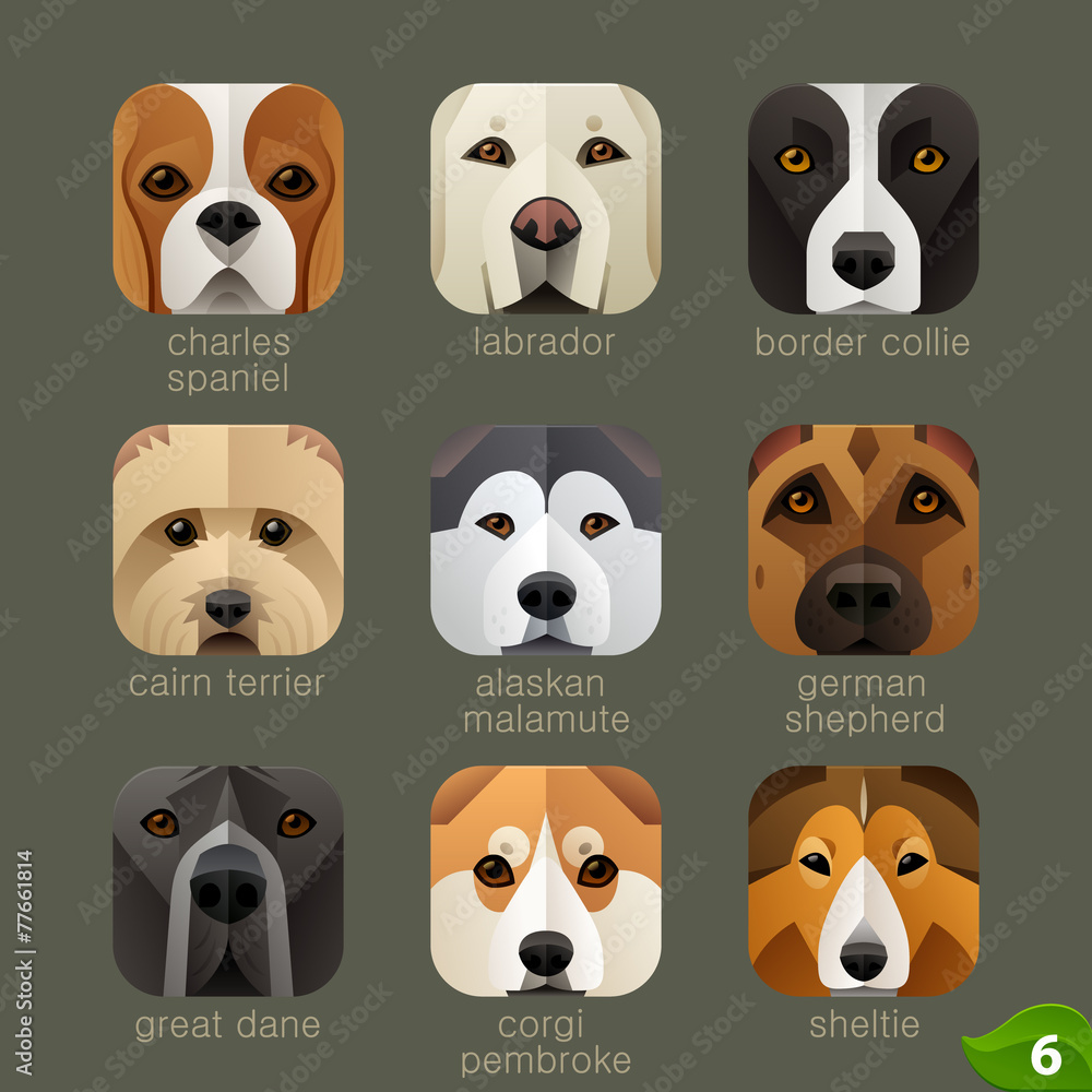 Obraz premium Animal faces for app icons-dogs set 5
