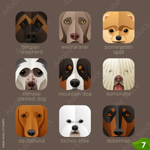 Animal faces for app icons-dogs set 6