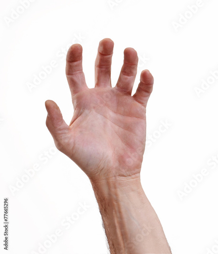 La mano de hombre sobre fondo blanco.