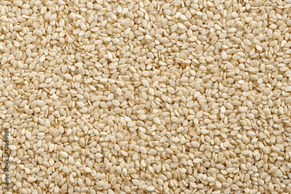 sesame seed sesame seed