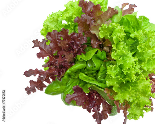 fresh lettuce leaves of different types isolated on a white back
