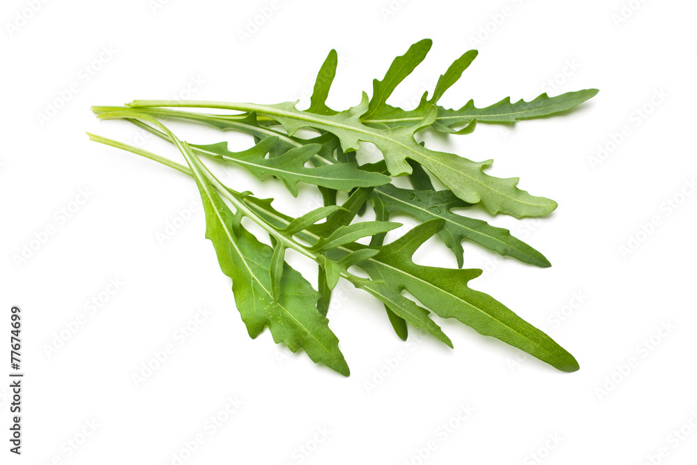 Fototapeta premium Heap of ruccola leaves