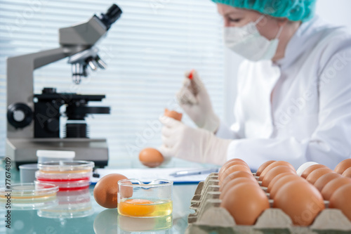 Fotografie Food quality control expert inspecting at chicken eggs