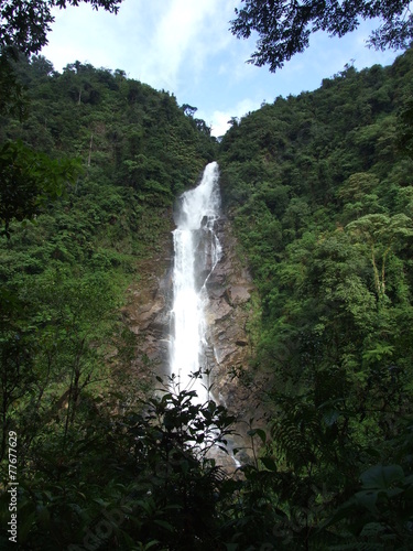 Salto de agua en el bosque  Chilasco  Guatemala 