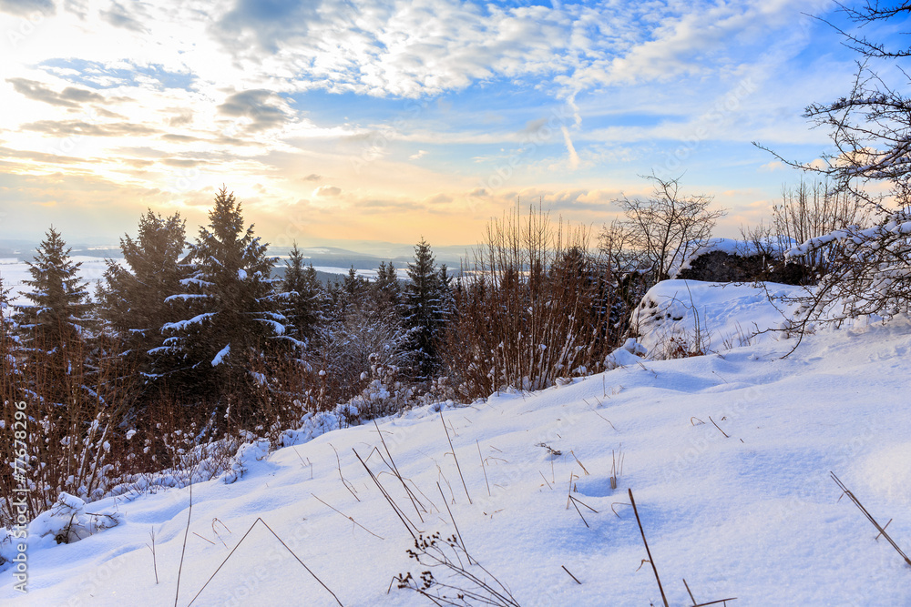 Fototapeta premium Winter Wonderland