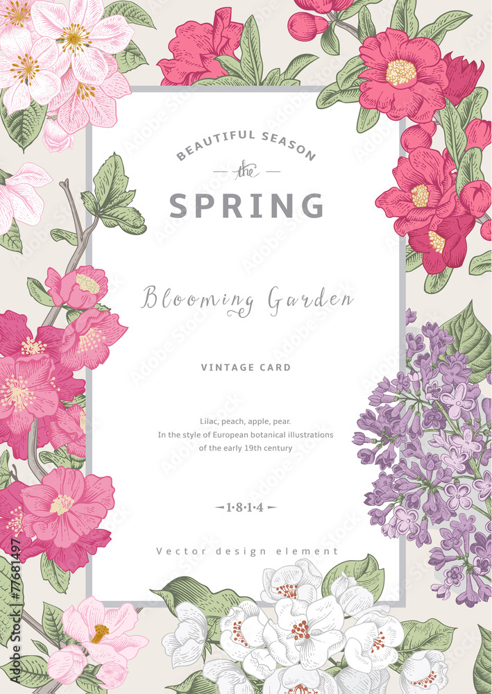 Naklejka premium Vintage vector vertical card spring.