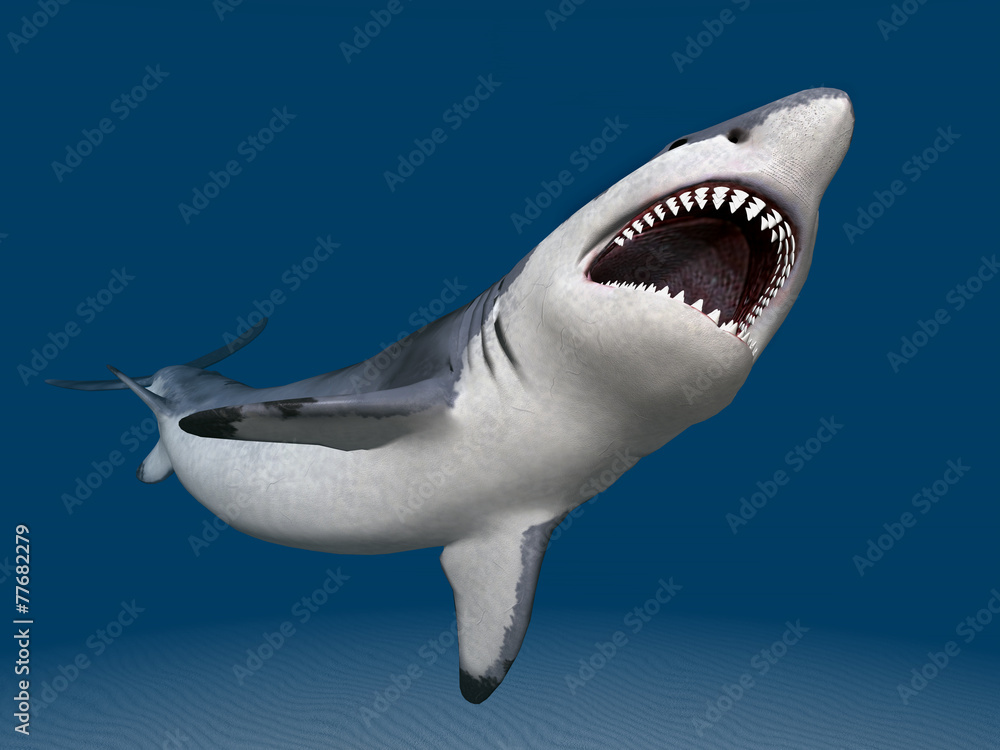 Great White Shark Attack Great White Shark Attack
