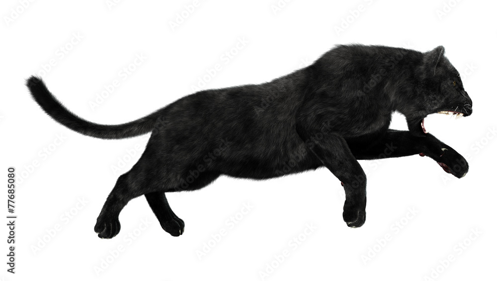 Naklejka premium Black Panther