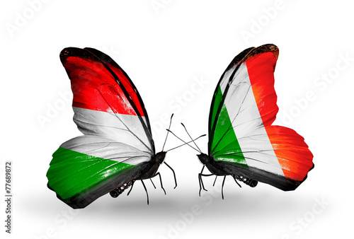 Two butterflies with flags Hungary and Ireland