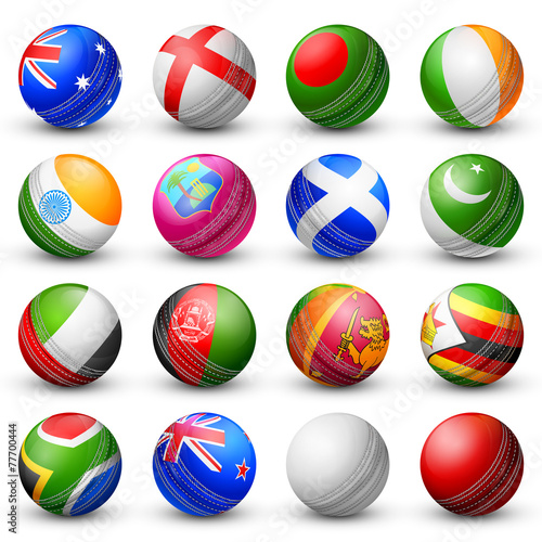 Cricket bat of different participating countries