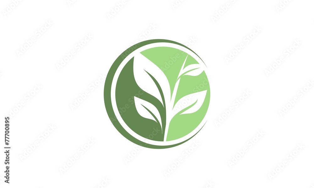 Leaf logo design vector Leaf logo design vector