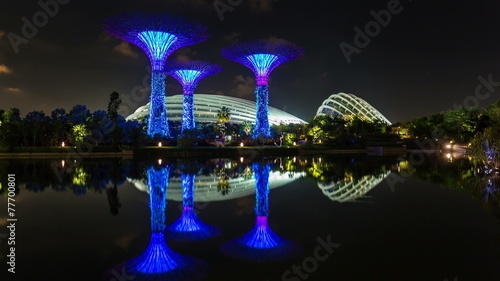 night light singapore garden 4k time lapse from the bay photo