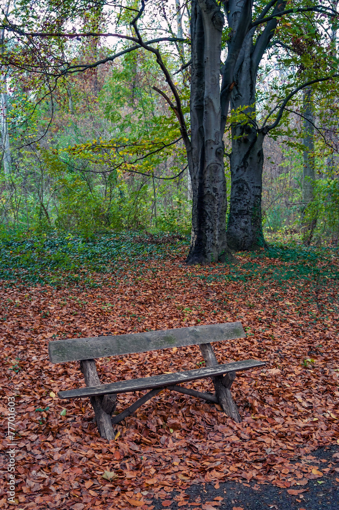 Park Bench