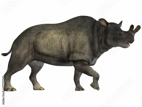 Brontotherium on White