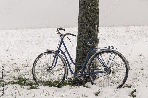 Vintage or retro bicycle left on a tree. Snowy field