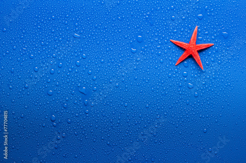 Wet surface with starfish