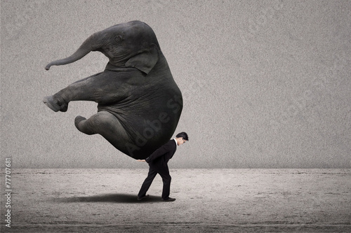 Business manager carry elephant on grey - leadership concept photo