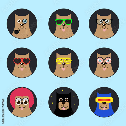 dog with glasses