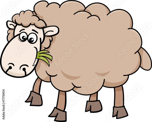 sheep farm animal cartoon illustration
