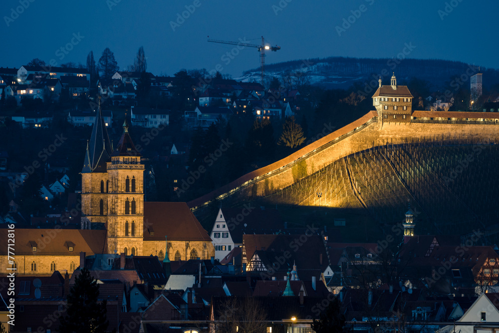 Fototapeta premium Esslingen bei Nacht