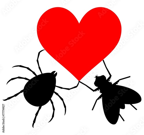 Insects love