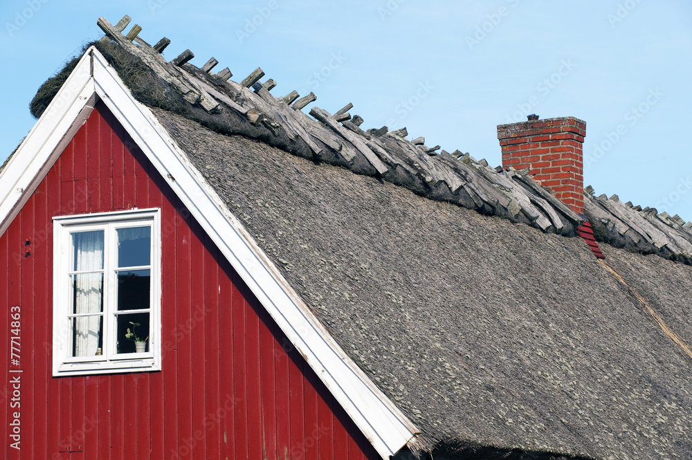 Fototapeta premium Thatched roof
