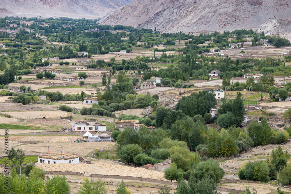 Obraz premium View from Likir monastery, Ladakh, India