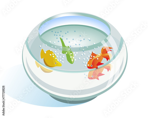 aquarium with fish