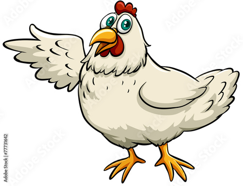 A chicken © blueringmedia