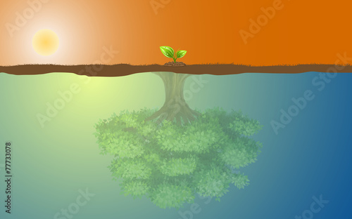 Small tree and big tree, conept