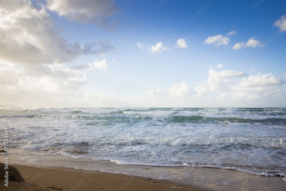 Sea beach at spring