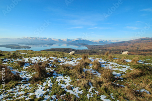 Loch Lomond - Scotland