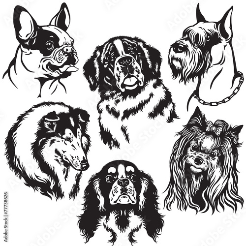 set with dogs