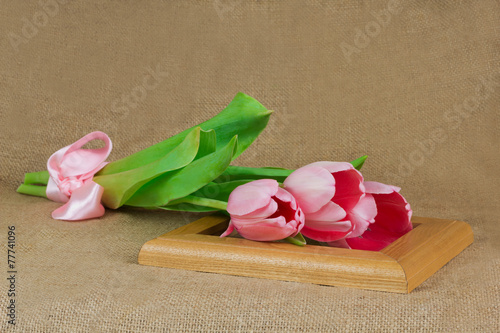 Fototapeta Naklejka Na Ścianę i Meble -  Three pink tulips with satin ribbon lying on the wooden frame