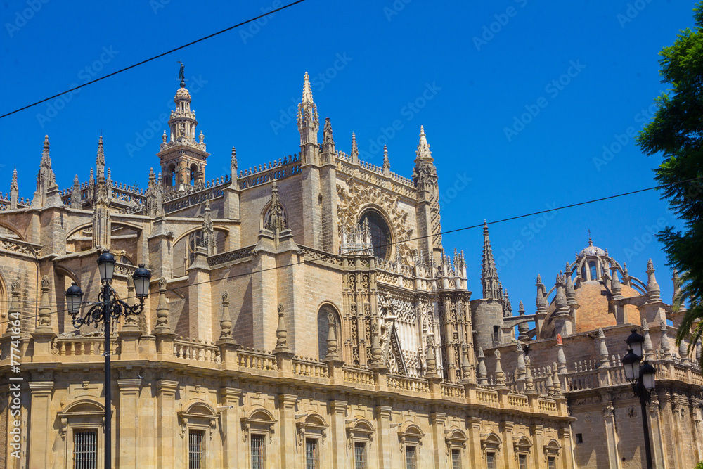 Fototapeta premium Details of the facade of the cathedral of Santa Maria La Giralda
