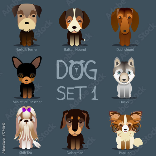 Dogs Set 1. Vector breed of dogs.