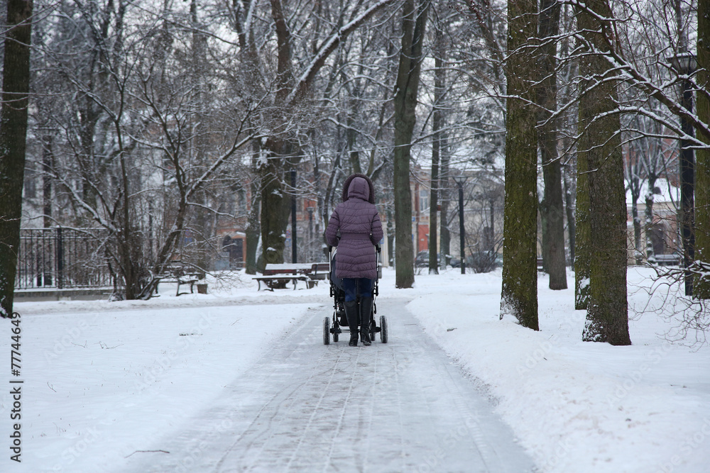 The Woman walking with buggy